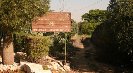 מזור